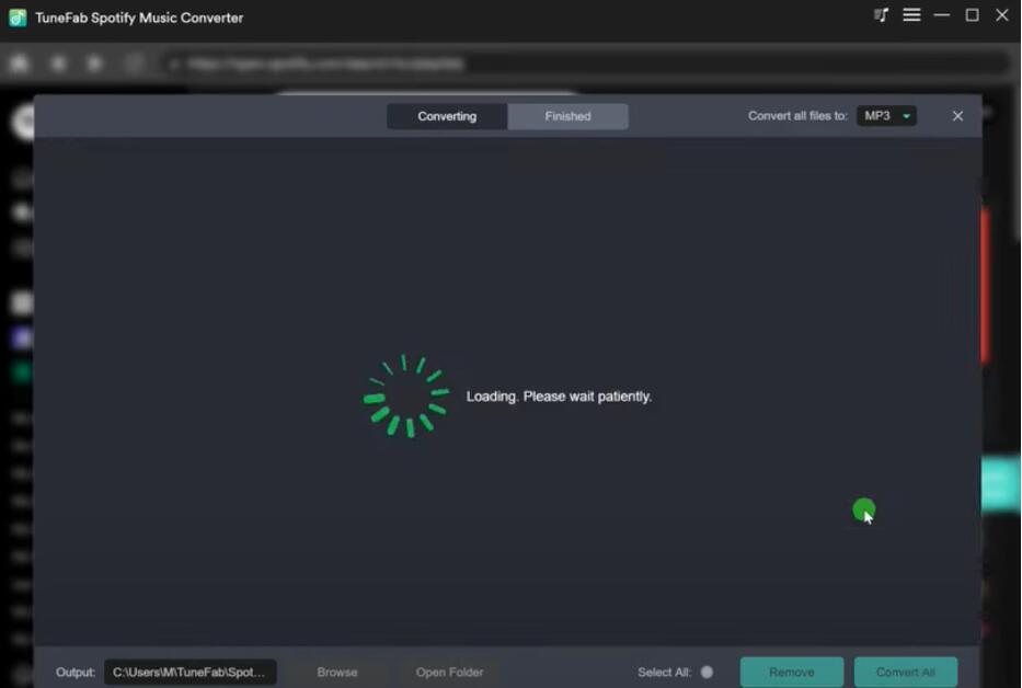 How to Use TuneFab to Download and Convert Spotify to MP3 - 3